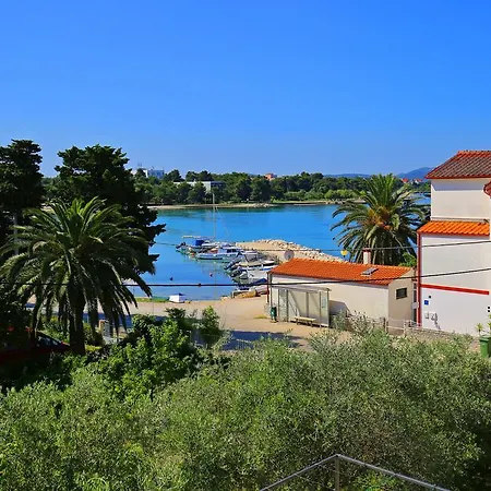 Ruzica Zadar